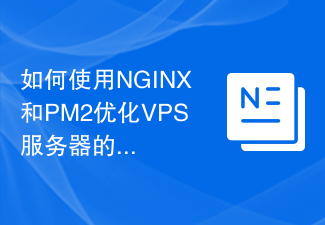 NGINX 및 PM2를 사용하여 VPS 서버의 로드 밸런싱을 최적화하는 방법