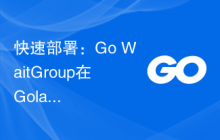 快速部署：Go WaitGroup在Golang项目中的应用指南