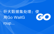 巨大数据集处理：使用Go WaitGroup优化性能