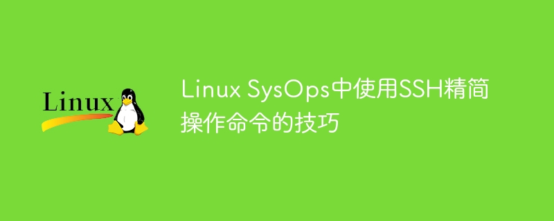 Linux SysOps中使用SSH精简操作命令的技巧