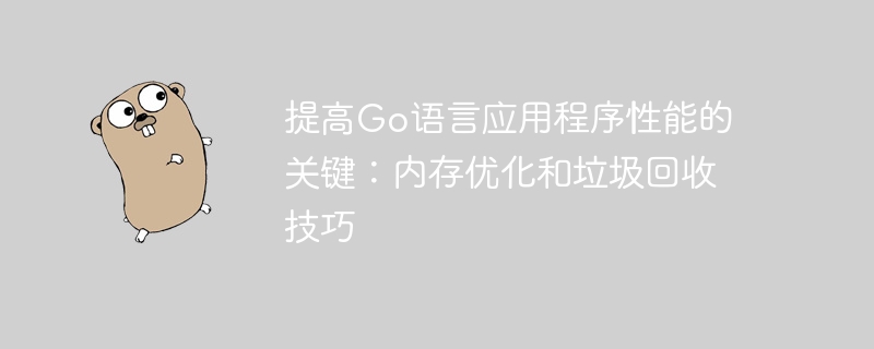 提高Go语言应用程序性能的关键：内存优化和垃圾回收技巧