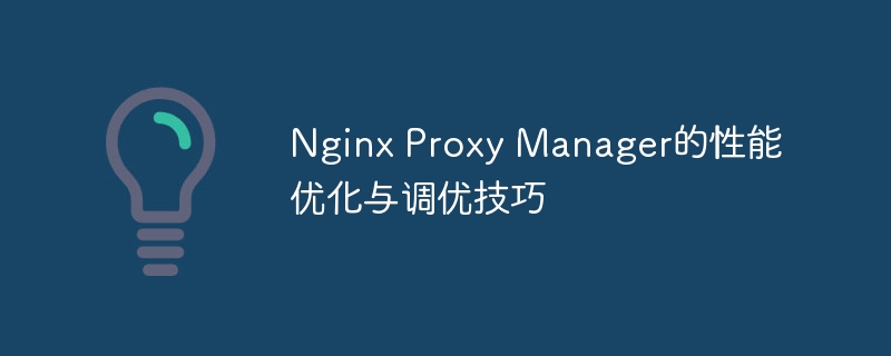 Nginx Proxy Manager的性能优化与调优技巧