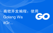 高效并发编程：使用Golang WaitGroup的实践技巧