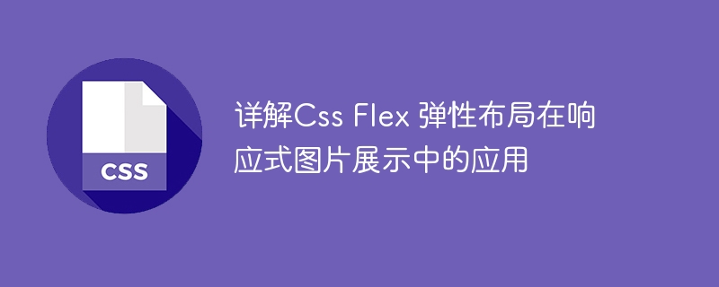 详解Css Flex 弹性布局在响应式图片展示中的应用