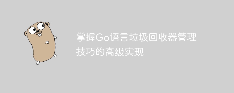 掌握Go语言垃圾回收器管理技巧的高级实现