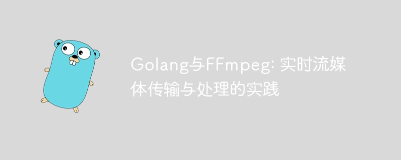 Golang与FFmpeg: 实时流媒体传输与处理的实践