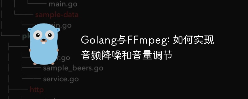 Golang与FFmpeg: 如何实现音频降噪和音量调节