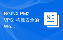 NGINX PM2 VPS: 构建安全的Web应用服务器