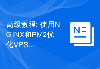 高级教程: 使用NGINX和PM2优化VPS服务器的性能