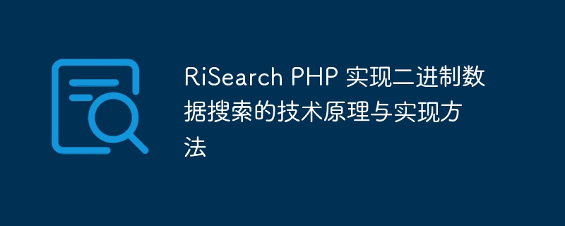 RiSearch PHP 实现二进制数据搜索的技术原理与实现方法