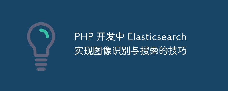 PHP 开发中 Elasticsearch 实现图像识别与搜索的技巧