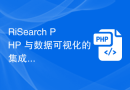 RiSearch PHP 与数据可视化的集成实现方法
