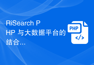 The combination of RiSearch PHP and big data platform enables search and analysis