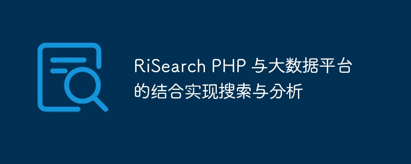 RiSearch PHP 与大数据平台的结合实现搜索与分析
