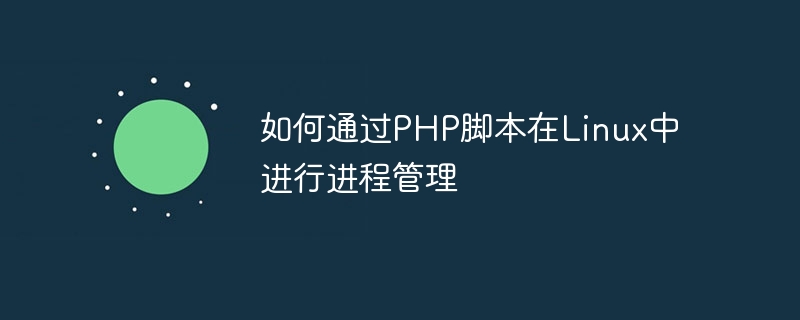 PHP 스크립트를 통해 Linux에서 프로세스 관리를 수행하는 방법