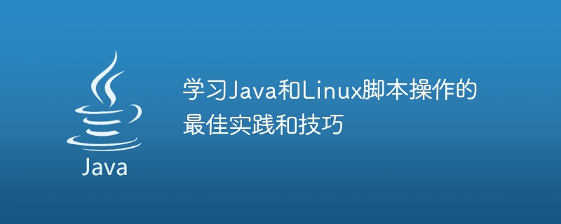 學習Java和Linux腳本操作的最佳實務和技巧