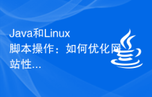 Java和Linux脚本操作：如何优化网站性能
