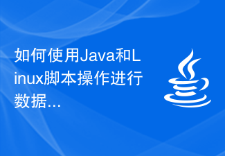 데이터 정리를 위해 Java 및 Linux 스크립트 작업을 사용하는 방법