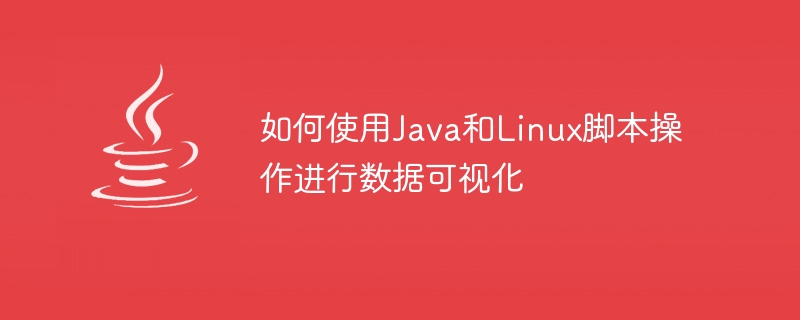 데이터 시각화를 위해 Java 및 Linux 스크립트 조작을 사용하는 방법