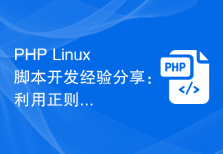 PHP Linux script development experience sharing: using regular expressions for string processing