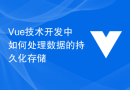Vue技术开发中如何处理数据的持久化存储