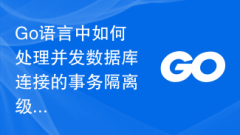 How to deal with the transaction isolation level issue of concurrent database connections in Go language?