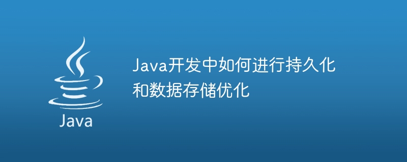 Java 開発における永続性とデータ ストレージを最適化する方法