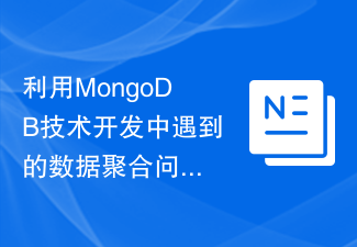 MongoDB 기술을 활용한 개발 과정에서 발생하는 데이터 집합 문제에 대한 솔루션 연구