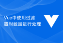 Vue中使用過濾器對資料進行處理