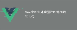 Vue中如何處理圖片的懶加載和占位
