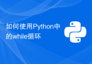 如何使用Python中的while循环