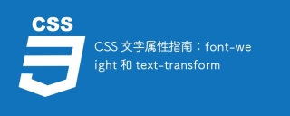 CSS 文字属性指南:font-weight 和 text-transform