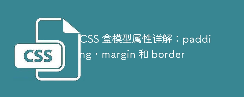 css 盒模型属性详解：padding，margin 和 border