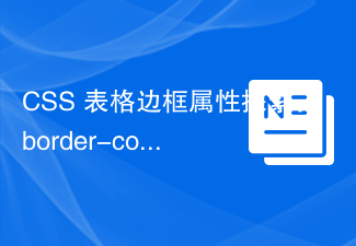 CSS 表格邊框屬性探索:border-collapse 和 border-spacing