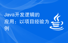 Java开发逻辑的应用：以项目经验为例