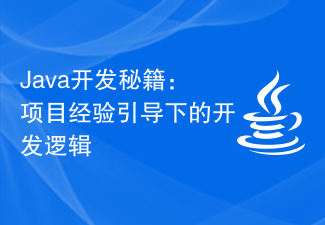 Java开发秘籍：项目经验引导下的开发逻辑