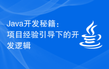Java开发秘籍：项目经验引导下的开发逻辑