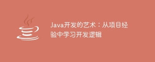 java开发的艺术:从项目经验中学习开发逻辑