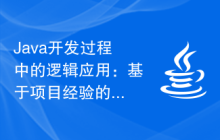 Java开发过程中的逻辑应用：基于项目经验的探讨
