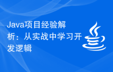 Java项目经验解析：从实战中学习开发逻辑