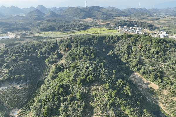 回龙圩：无人机担任“森林守卫者” 保卫山林绿色宝藏