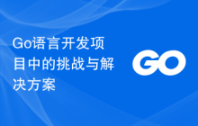 Go语言开发项目中的挑战与解决方案