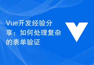 Vue开发经验分享：如何处理复杂的表单验证