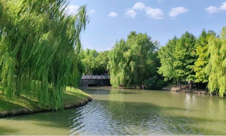 In Zhaoxiang Park, the children encountered a journey of exploration with intelligent robots