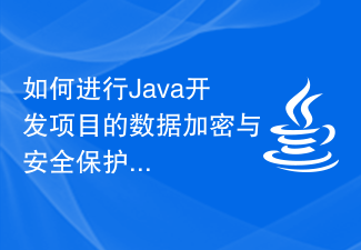 如何进行Java开发项目的数据加密与安全保护