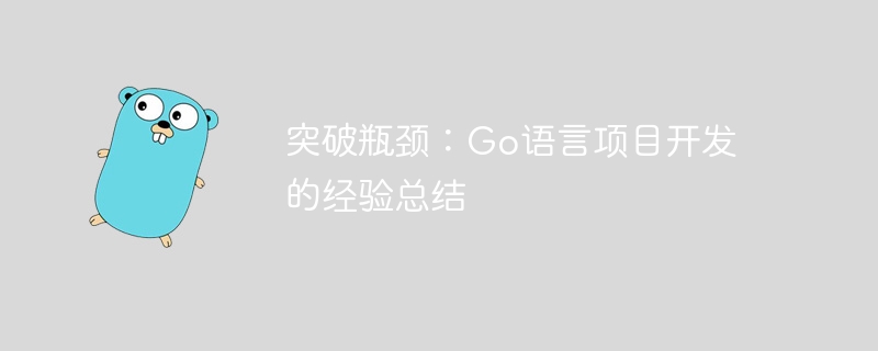 突破瓶颈：Go语言项目开发的经验总结