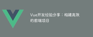 Vue開發經驗分享:建構高效的前端項目