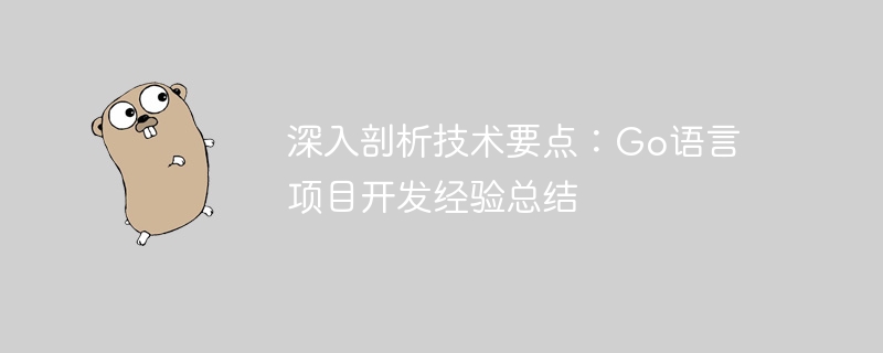 深入剖析技術要點：Go語言專案開發經驗總結