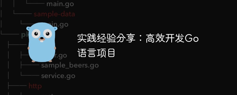 실무 경험 공유: Go 언어 프로젝트의 효율적인 개발