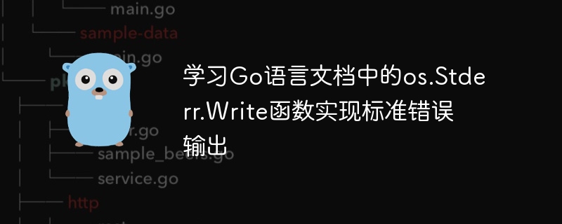 표준 오류 출력을 구현하려면 Go 언어 문서에서 os.Stderr.Write 함수를 알아보세요.